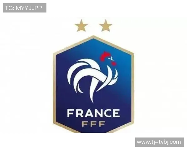 2015南非世界杯法国与丹麦赛前分析及预测展望